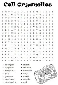 Cell Word Search Printable