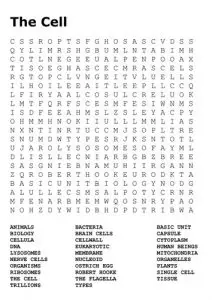 Cells Word Search Worksheet