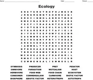 Ecology Vocabulary Word Search