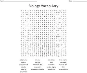 Middle School Biology Word Search