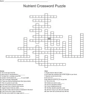 Nutrition Crossword Puzzle High School