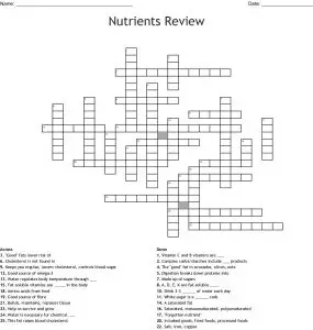 Nutrition Review Crossword Puzzle