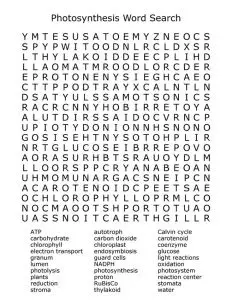 Photosynthesis Word Search Printable