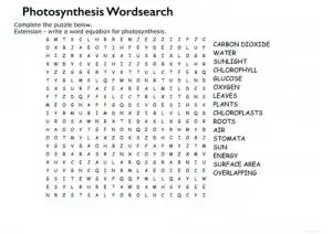 Photosynthesis Word Search Worksheeet