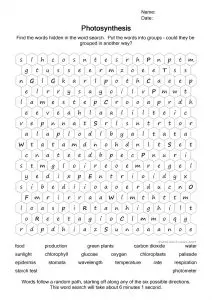 Printable Photosynthesis Word Search