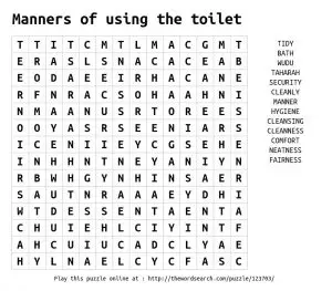 Toilet Word Search