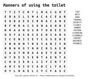 Toilet Word Search