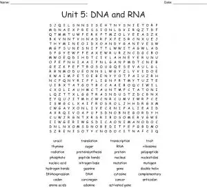 Unit 5 DNA and RNA Word Search