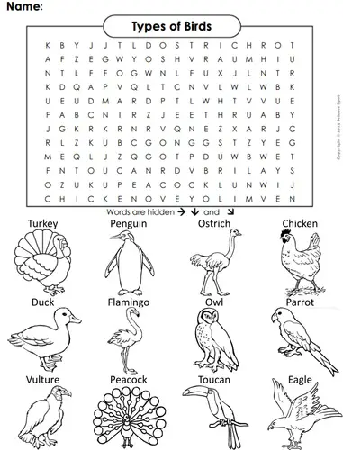 10-fun-birds-word-searches-kitty-baby-love
