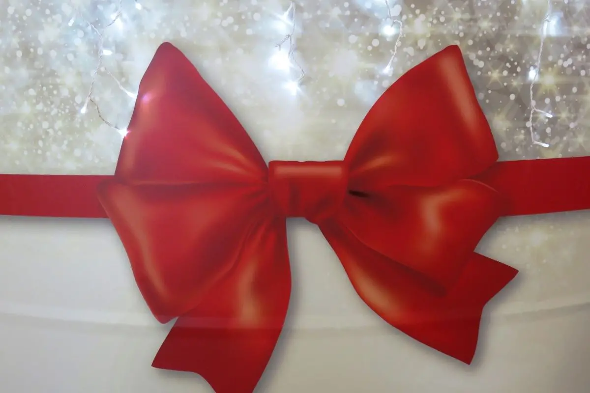 How to Make a Bow (2)