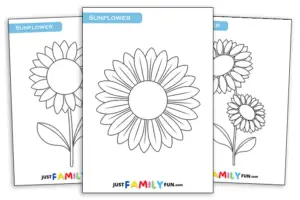 sunflower drawing outline