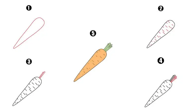 Carrot drawing template